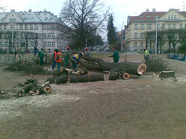 Zahradnické práce Slovanské náměstí Brno